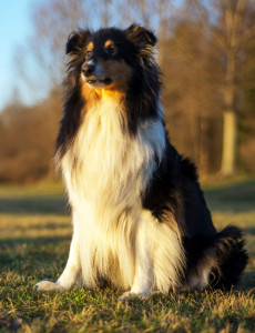 30122013-DSC_2594 - kopia